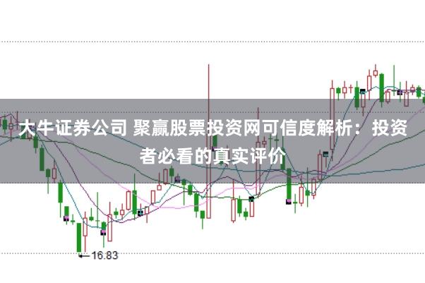 大牛证券公司 聚赢股票投资网可信度解析：投资者必看的真实评价