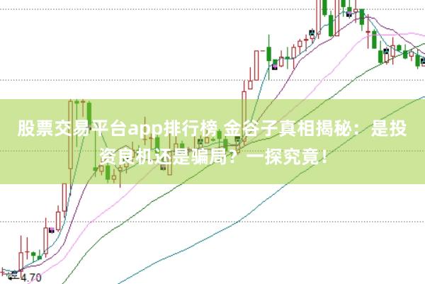 股票交易平台app排行榜 金谷子真相揭秘:是投资良机还是骗局?一探究竟!