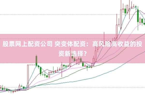 股票网上配资公司 突变体配资：高风险高收益的投资新选择？