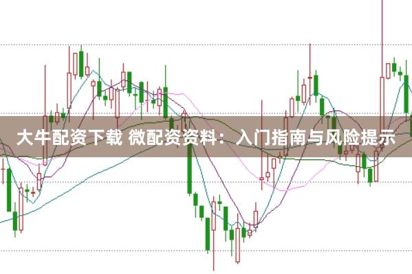 大牛配资下载 微配资资料：入门指南与风险提示