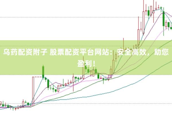 乌药配资附子 股票配资平台网站：安全高效，助您盈利！