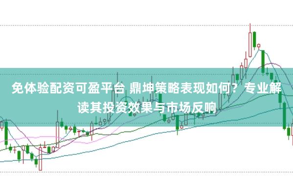 免体验配资可盈平台 鼎坤策略表现如何？专业解读其投资效果与市场反响