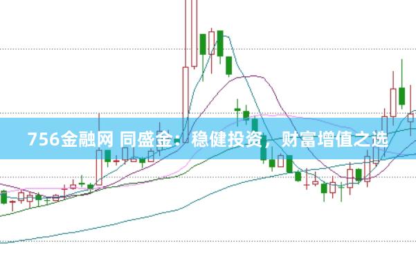 756金融网 同盛金：稳健投资，财富增值之选