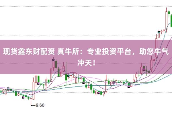 现货鑫东财配资 真牛所:专业投资平台,助您牛气冲天!