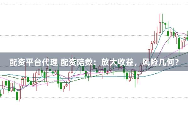 配资平台代理 配资陪数:放大收益,风险几何?