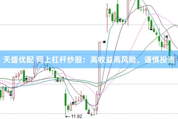 天盛优配 网上杠杆炒股:高收益高风险,谨慎投资