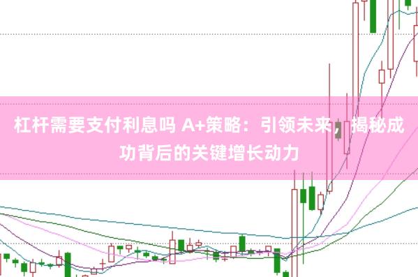 杠杆需要支付利息吗 A+策略：引领未来，揭秘成功背后的关键增长动力