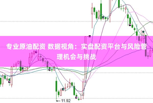 专业原油配资 数据视角:实盘配资平台与风险管理机会与挑战