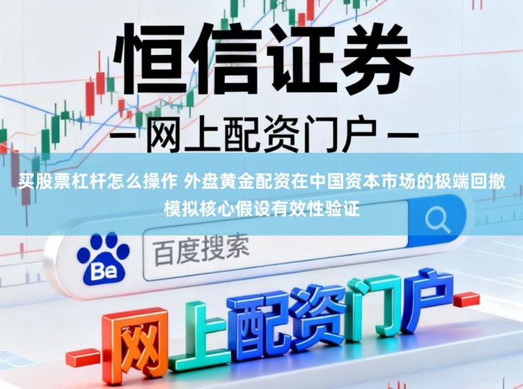 买股票杠杆怎么操作 外盘黄金配资在中国资本市场的极端回撤模拟核心假设有效性验证