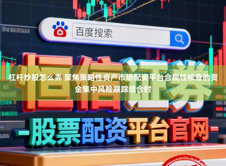 杠杆炒股怎么弄 聚焦策略性资产市场配资平台合规性核查的资金集中风险跟踪结合时
