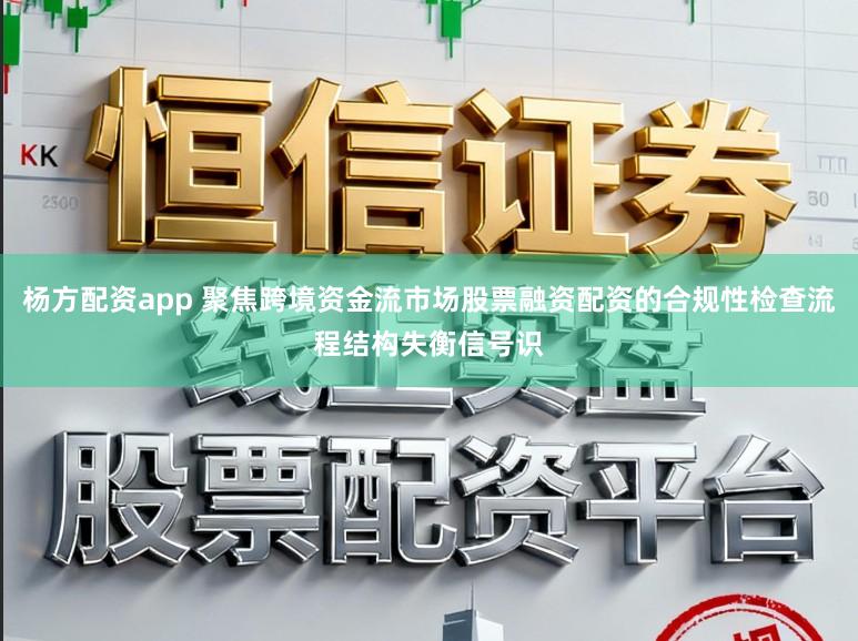杨方配资app 聚焦跨境资金流市场股票融资配资的合规性检查流程结构失衡信号识