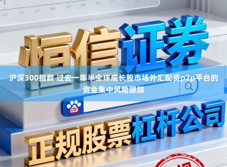 沪深300指数 过去一年半全球成长股市场外汇配资p2p平台的资金集中风险跟踪