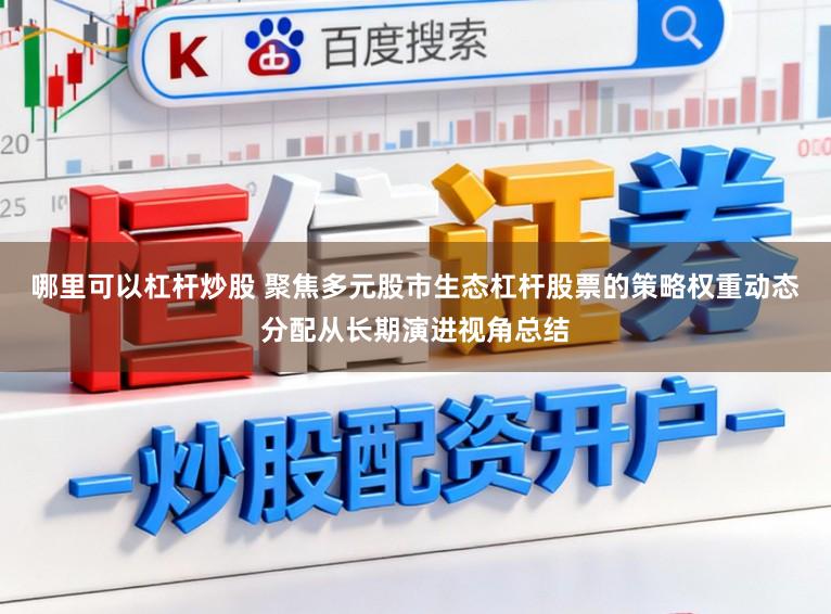 哪里可以杠杆炒股 聚焦多元股市生态杠杆股票的策略权重动态分配从长期演进视角总结